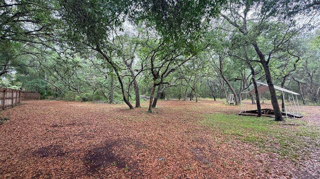 15535 Little Ranch Road Spring Hill, FL 34610 - Photo 44 of 46 a view of a yard with a tree
