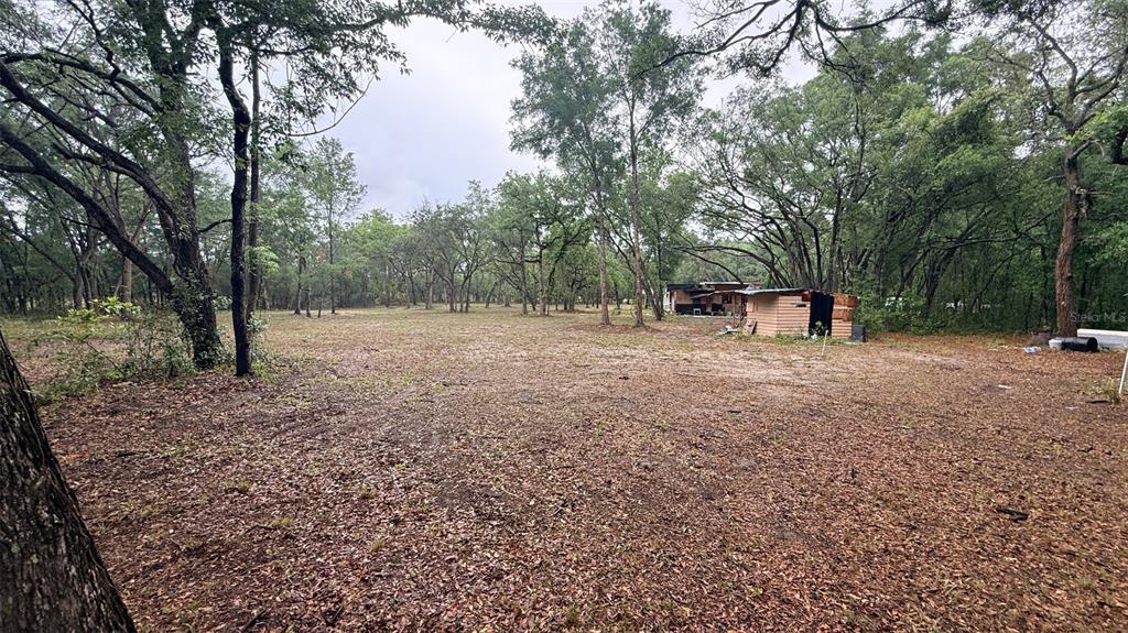 15535 Little Ranch Road Spring Hill, FL 34610 - Photo 45 of 46 a view of a forest with trees in the background