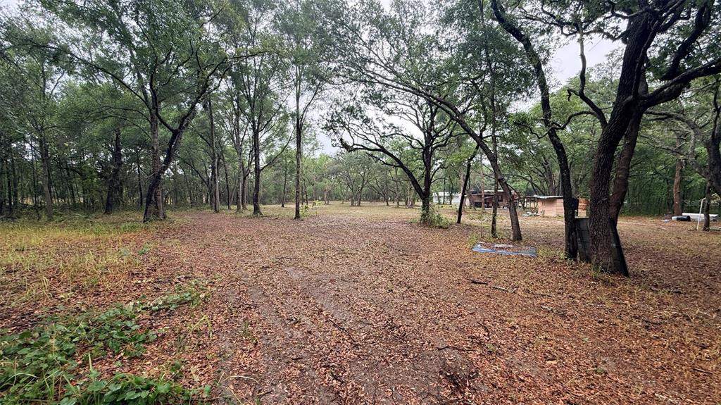 15535 Little Ranch Road Spring Hill, FL 34610 - Photo 46 of 46 a view of outdoor space with trees