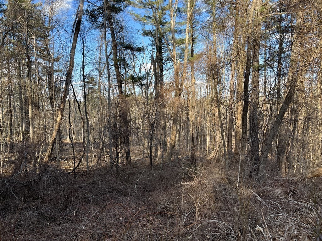 Lot 3 Rice Corner Brookfield, MA 01506 - Photo 3 of 3 Gallery Image 3
