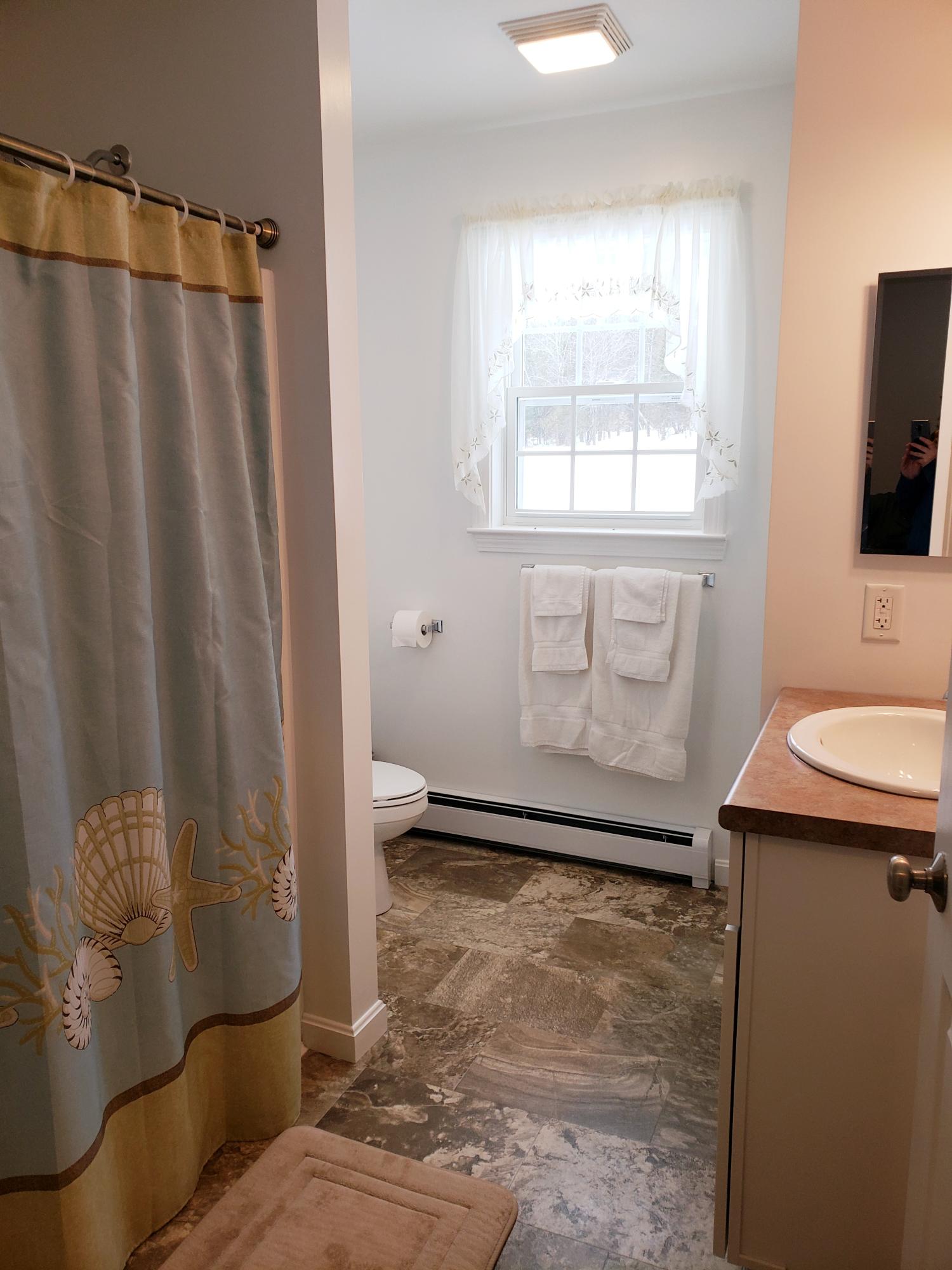 161 Garland Road Charleston, ME 04422 - Photo 12 of 23 20190207_200344
