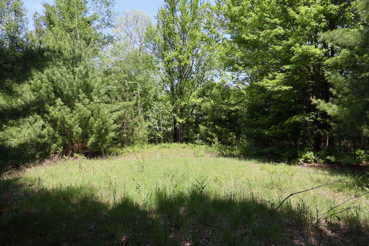 0 East Highwood Road Beaverton, MI 48612 - Photo 41 of 67 IMG_2511