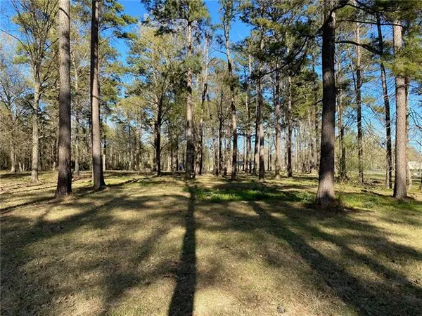$30,000 | Lot 3 Lou Ann Drive, Colfax, LA 71417