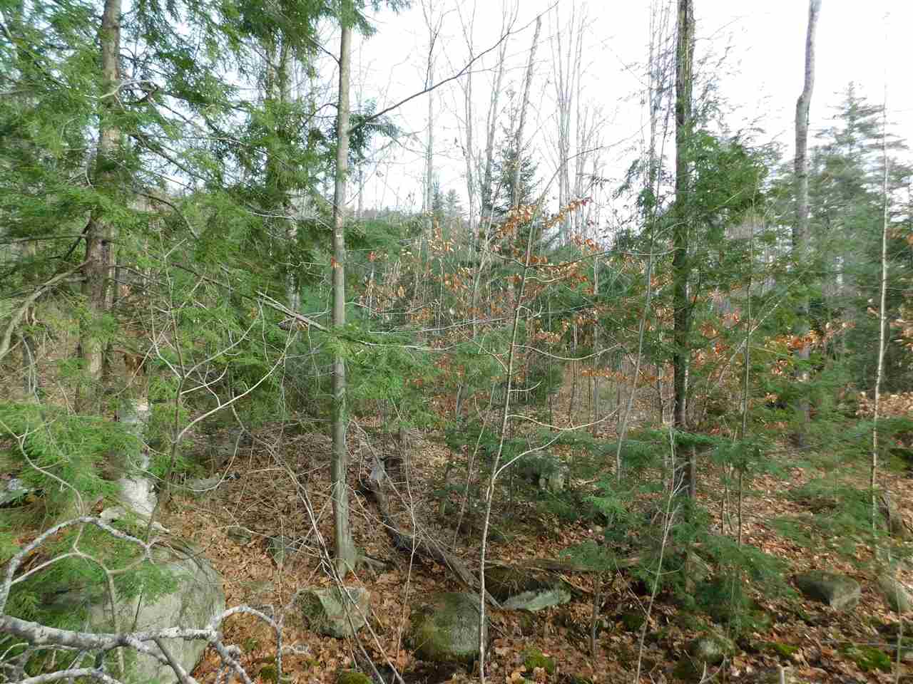 Lot 1 Lot Road Campton, NH 03223 - Photo 8 of 13