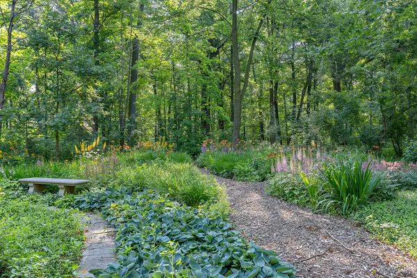 a view of a garden with plants and a bench
