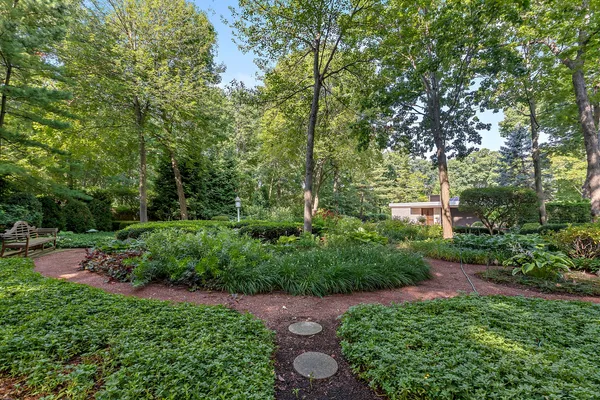 a view of a garden with plants and large trees
