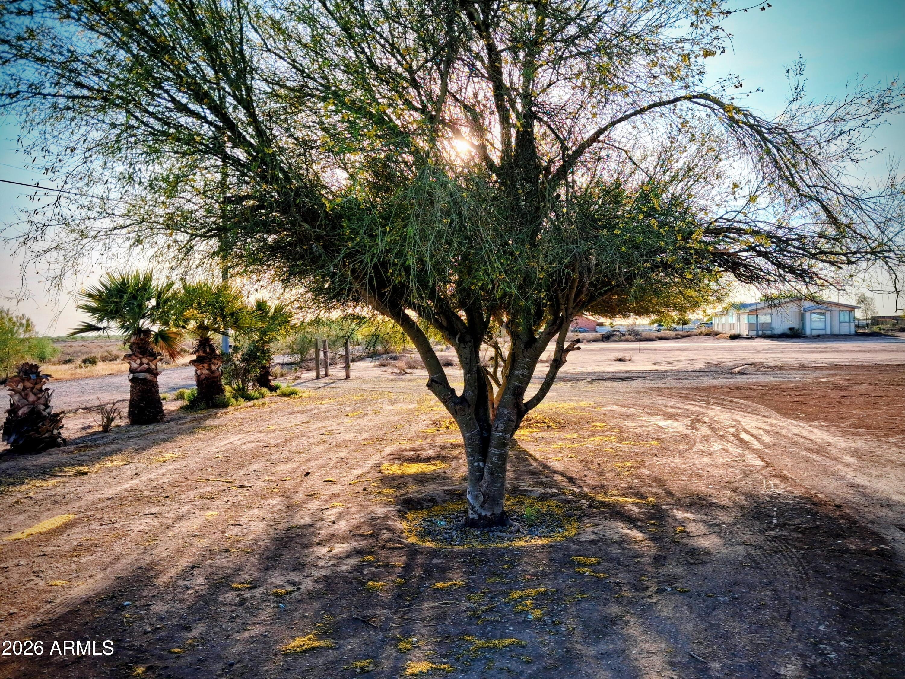 3476 East Blair Road Eloy, AZ 85131 - Photo 34 of 35 1000001493
