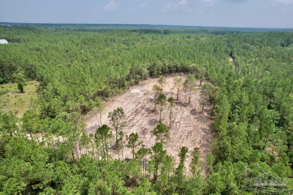 Lot 4 Gin Road Pace, FL 32571 - Photo 11 of 27