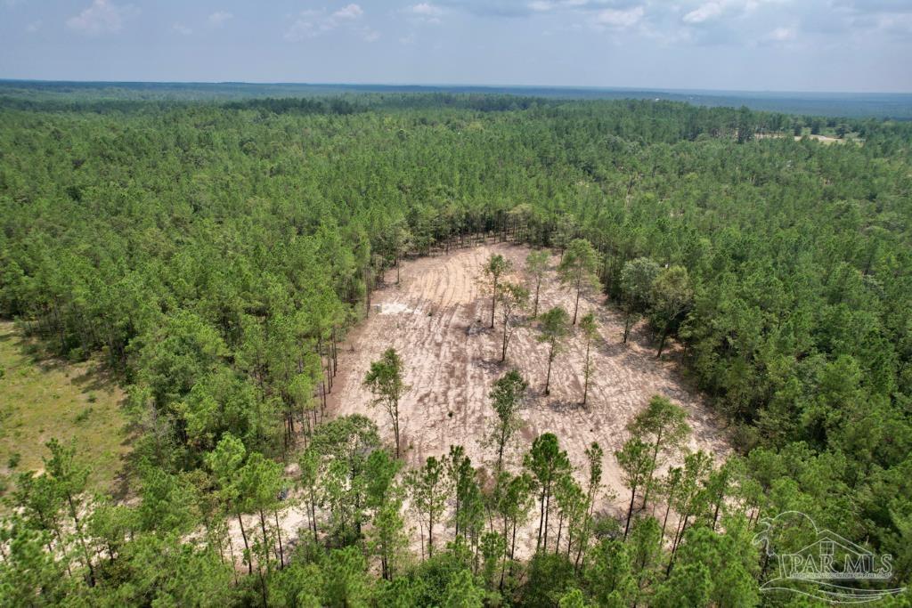 Lot 4 Gin Road Pace, FL 32571 - Photo 12 of 27
