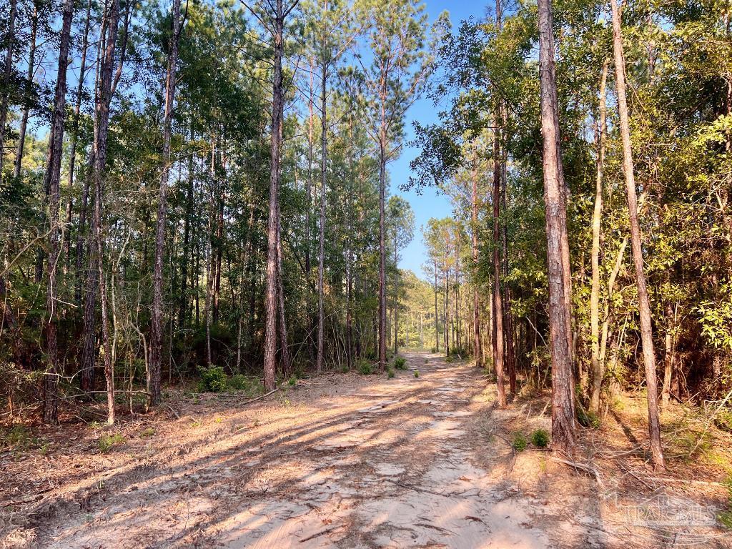 Lot 4 Gin Road Pace, FL 32571 - Photo 13 of 27