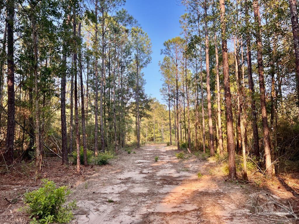 Lot 4 Gin Road Pace, FL 32571 - Photo 14 of 27