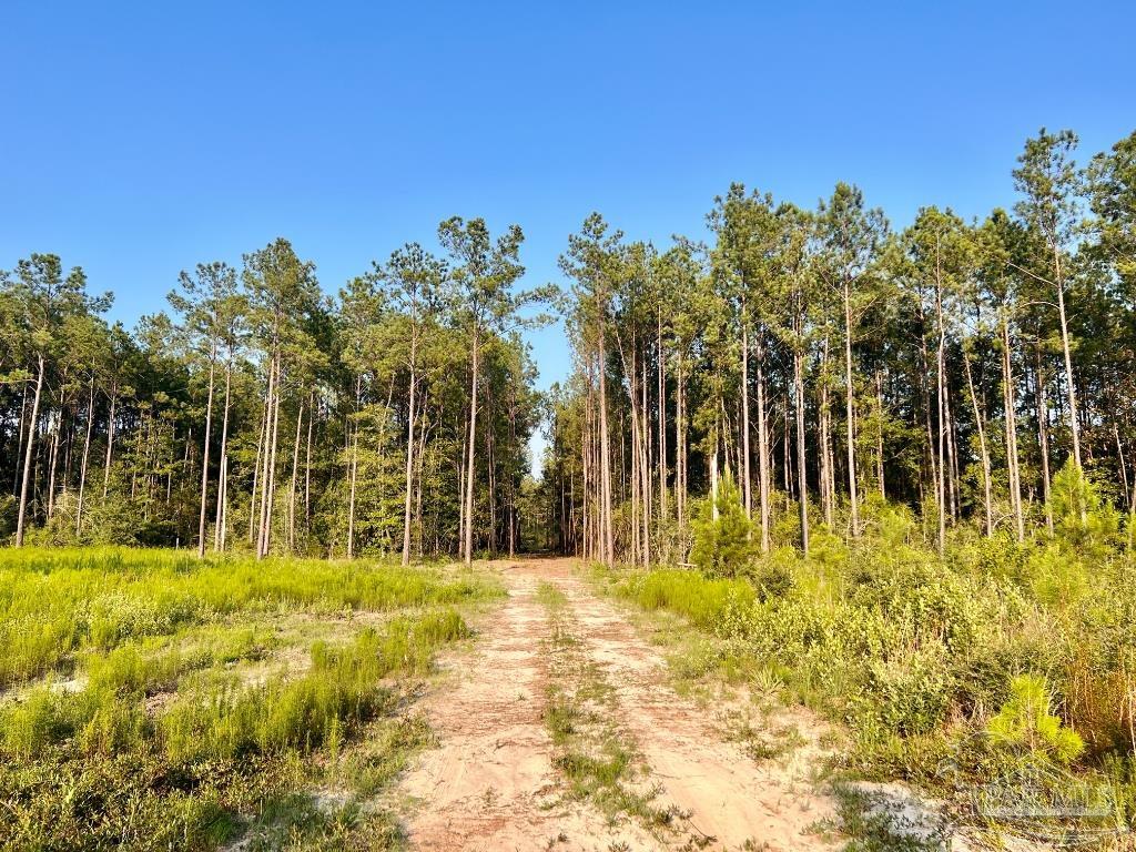 Lot 4 Gin Road Pace, FL 32571 - Photo 15 of 27
