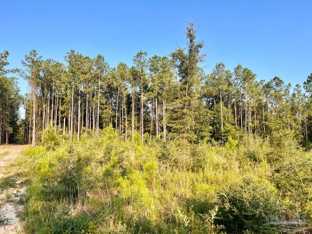 Lot 4 Gin Road Pace, FL 32571 - Photo 16 of 27