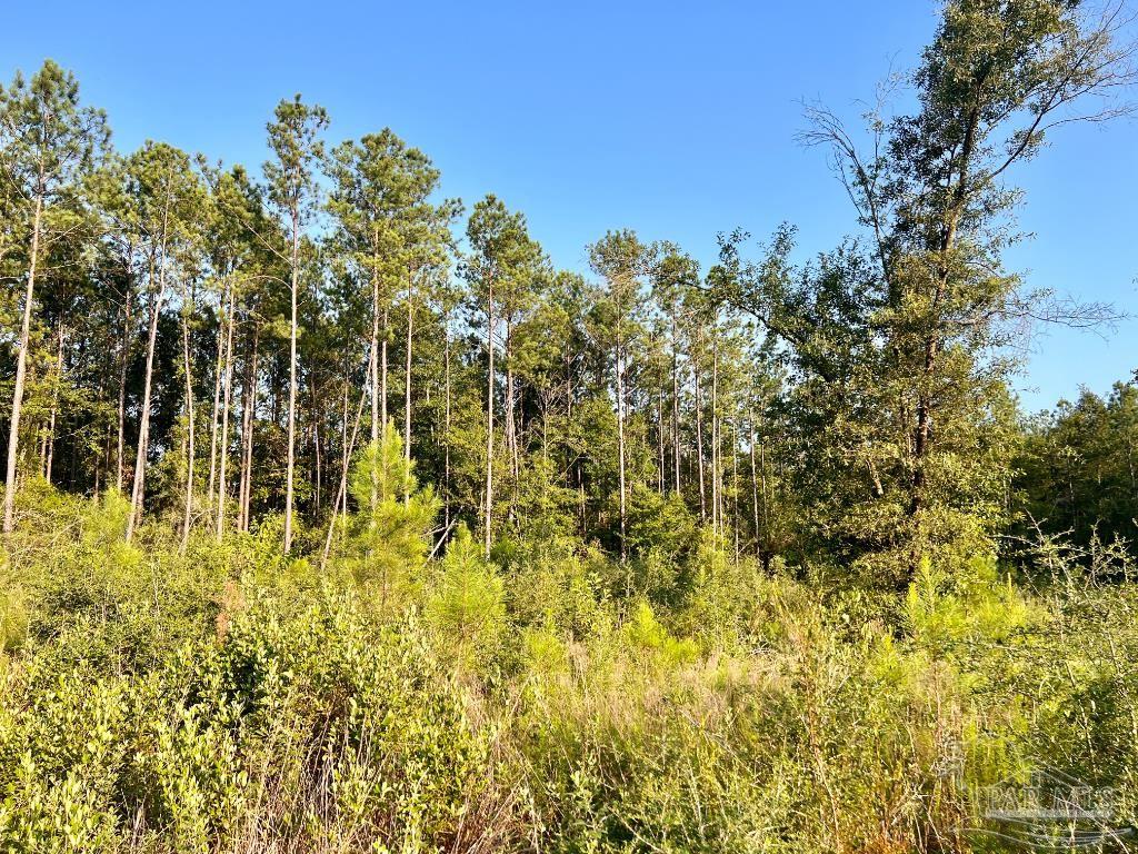 Lot 4 Gin Road Pace, FL 32571 - Photo 17 of 27