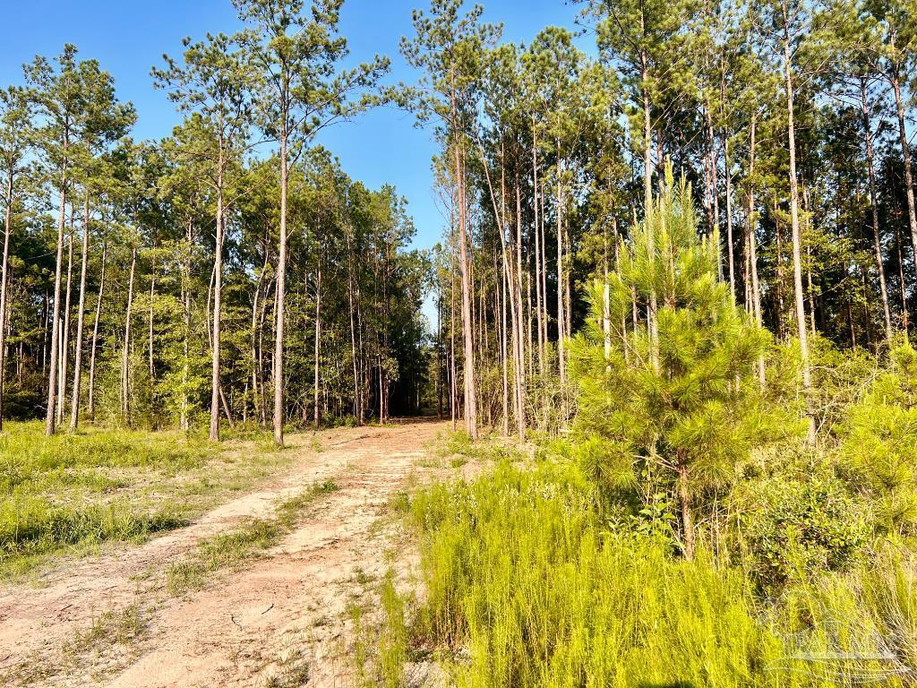 Lot 4 Gin Road Pace, FL 32571 - Photo 18 of 27