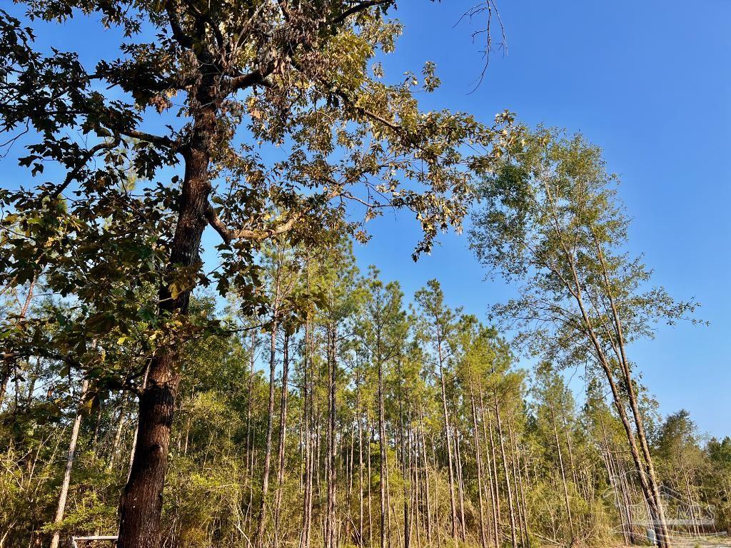 Lot 4 Gin Road Pace, FL 32571 - Photo 19 of 27