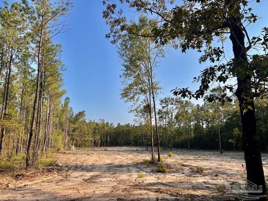 Lot 4 Gin Road Pace, FL 32571 - Photo 20 of 27