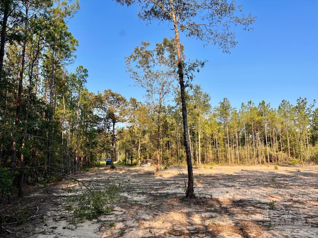 Lot 4 Gin Road Pace, FL 32571 - Photo 21 of 27