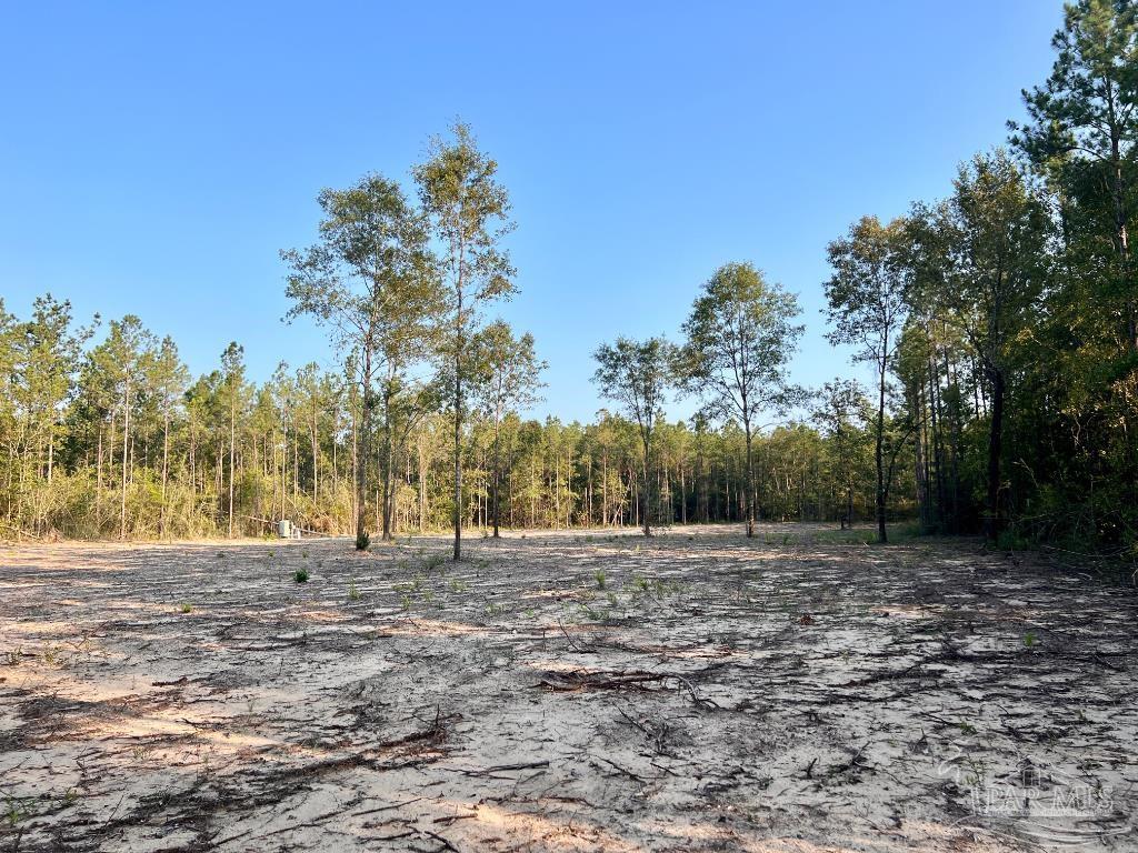 Lot 4 Gin Road Pace, FL 32571 - Photo 22 of 27