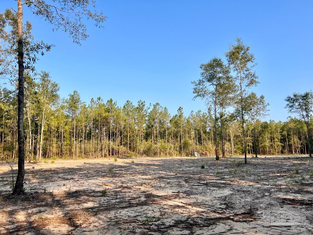 Lot 4 Gin Road Pace, FL 32571 - Photo 23 of 27
