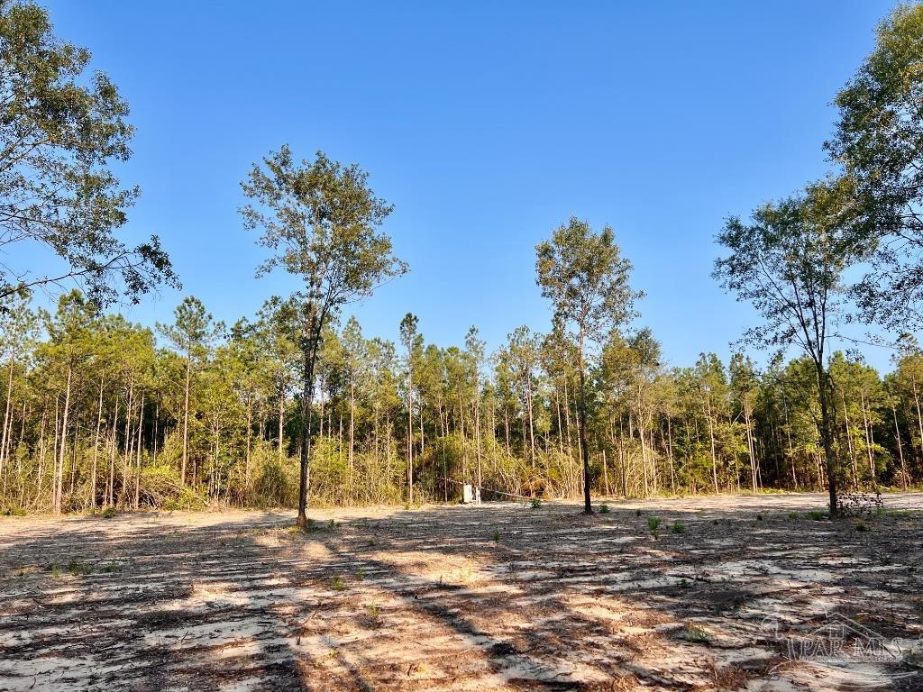 Lot 4 Gin Road Pace, FL 32571 - Photo 24 of 27