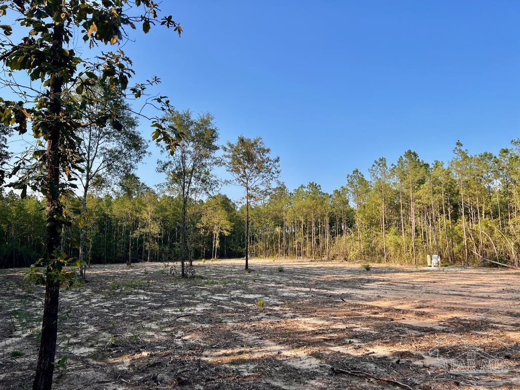 Lot 4 Gin Road Pace, FL 32571 - Photo 25 of 27