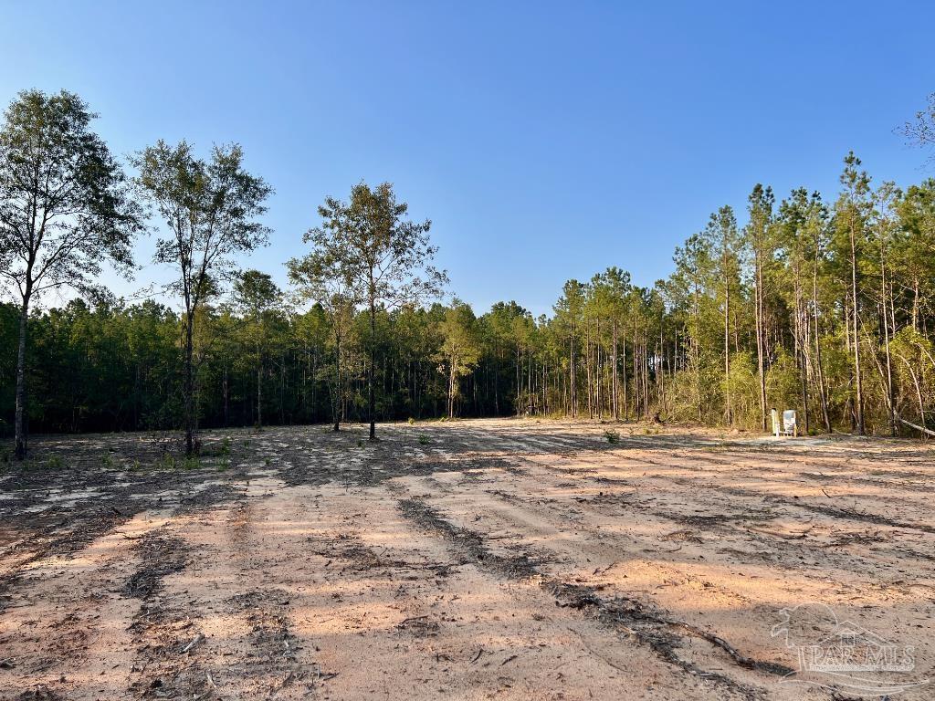 Lot 4 Gin Road Pace, FL 32571 - Photo 26 of 27