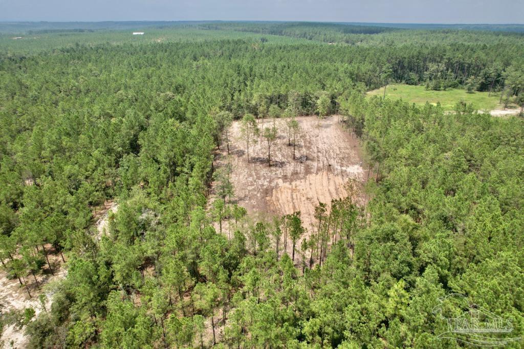 Lot 4 Gin Road Pace, FL 32571 - Photo 3 of 27