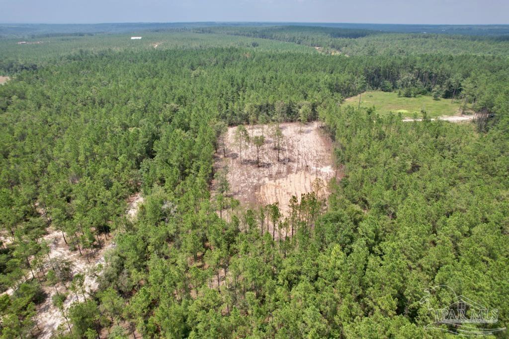 Lot 4 Gin Road Pace, FL 32571 - Photo 4 of 27