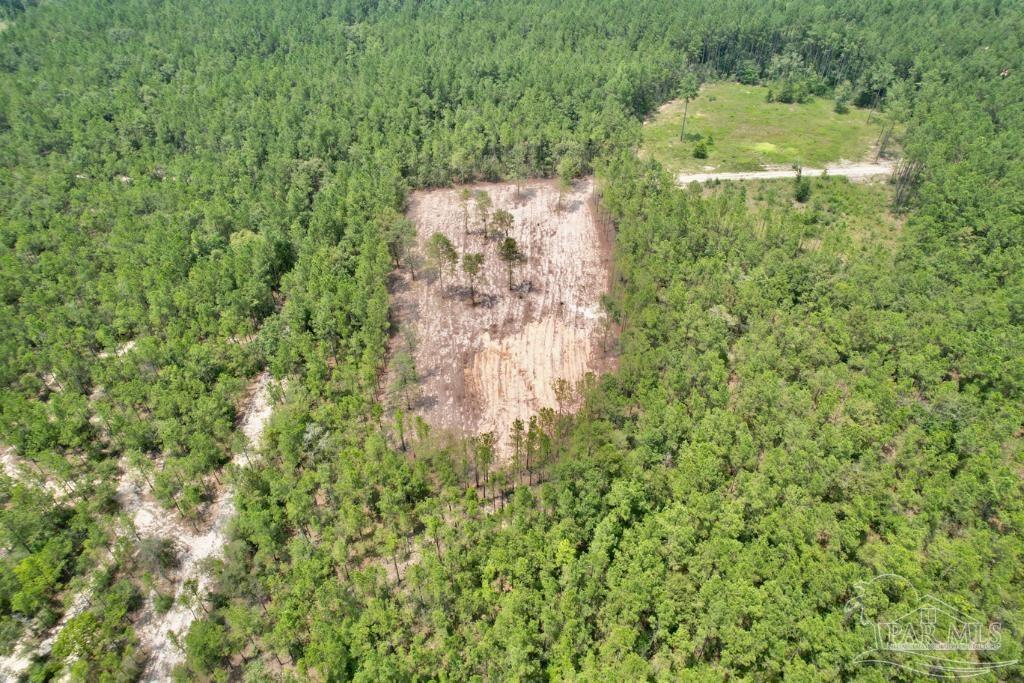 Lot 4 Gin Road Pace, FL 32571 - Photo 5 of 27