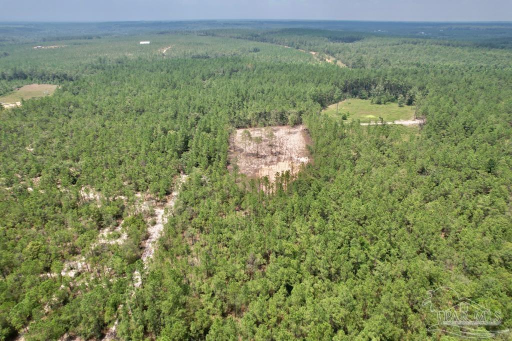 Lot 4 Gin Road Pace, FL 32571 - Photo 6 of 27