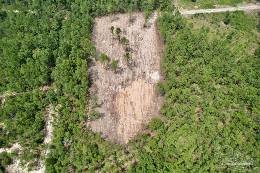 Lot 4 Gin Road Pace, FL 32571 - Photo 7 of 27