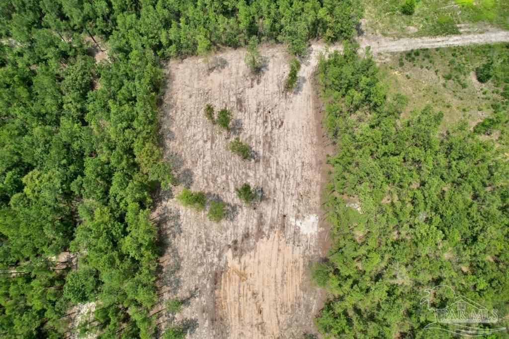 Lot 4 Gin Road Pace, FL 32571 - Photo 8 of 27