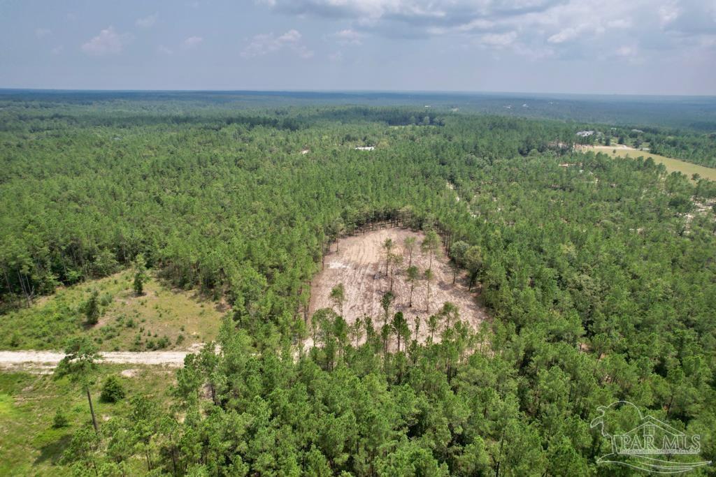 Lot 4 Gin Road Pace, FL 32571 - Photo 9 of 27
