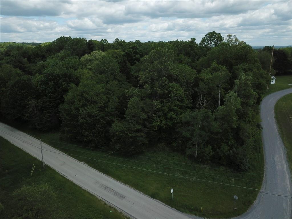 0 Wilgus Road Hillsdale, PA 15746 - Photo 2 of 27