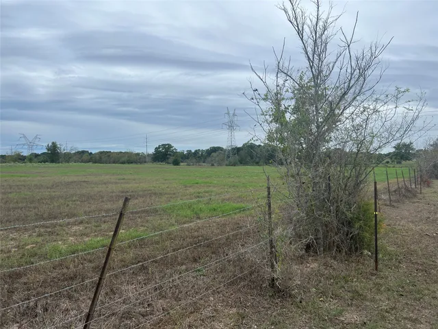 $65,000 | Lot 4 County Road 166, Iola, TX 77861