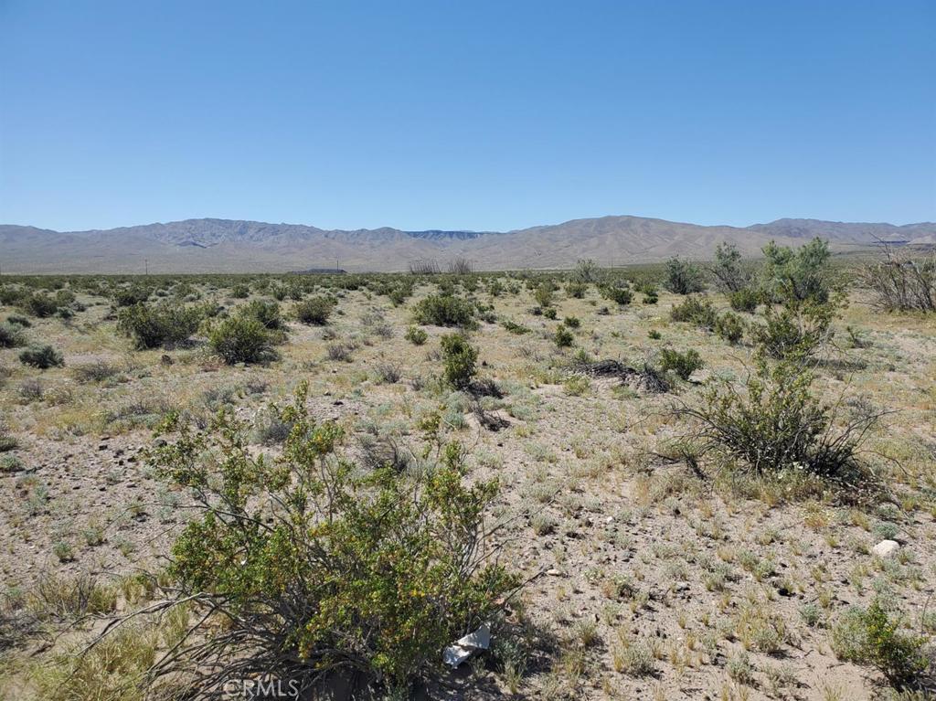0 Autumn Leaf Road Newberry Springs, CA 92365 - Photo 3 of 10 a view of a back yard