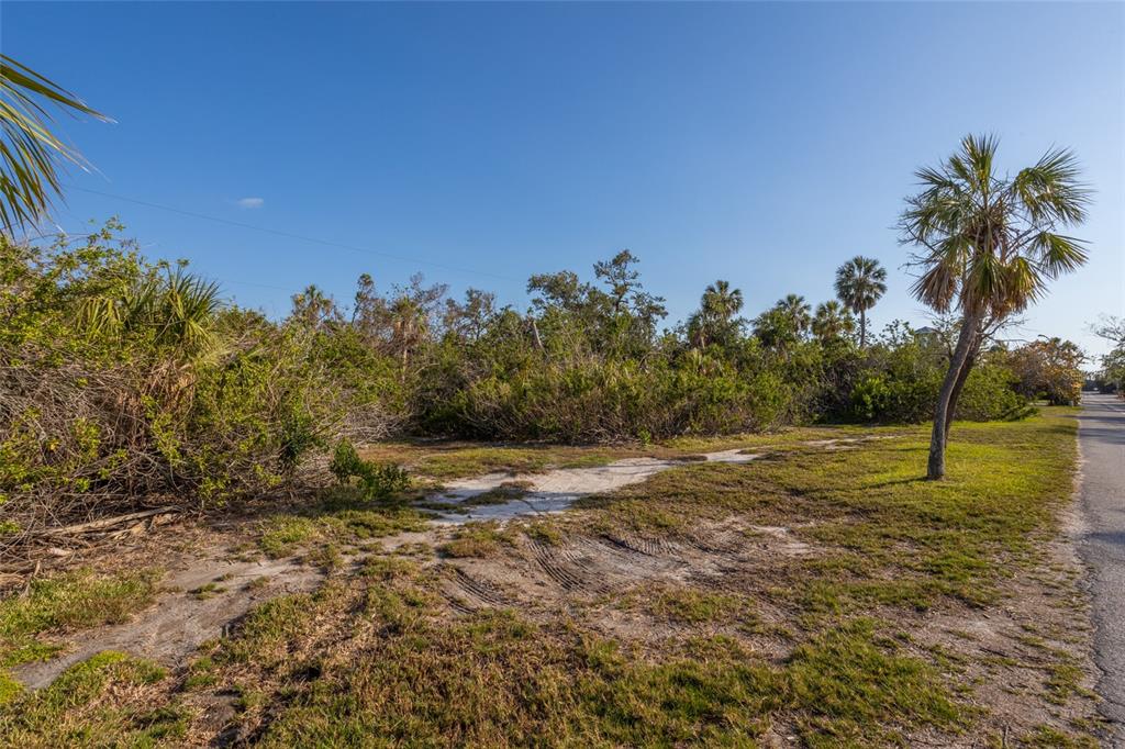 560 Gulf Bay Road Longboat Key, FL 34228 - Photo 8 of 38 a view of a yard with a tree