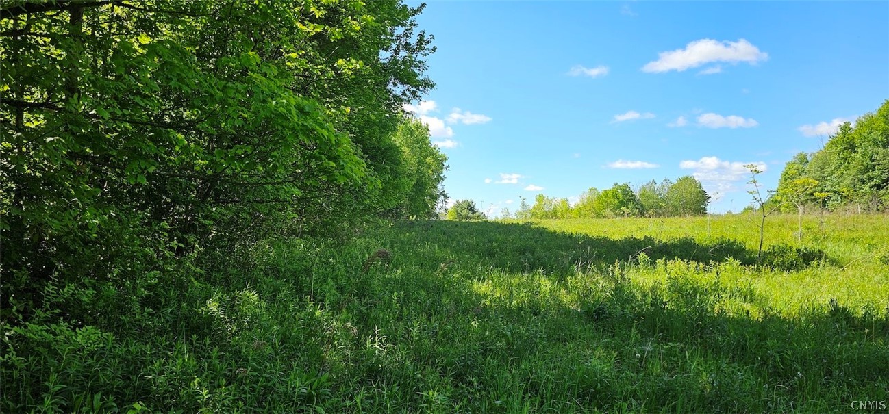 Sprouls Road Cortland, NY 13045 - Photo 25 of 48