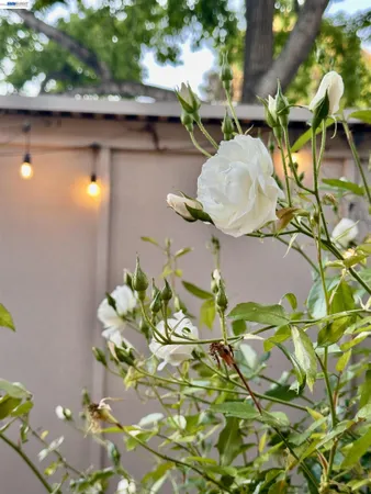 $688,000 | 3965 Lake Tahoe Terrace, Fremont, CA 94555