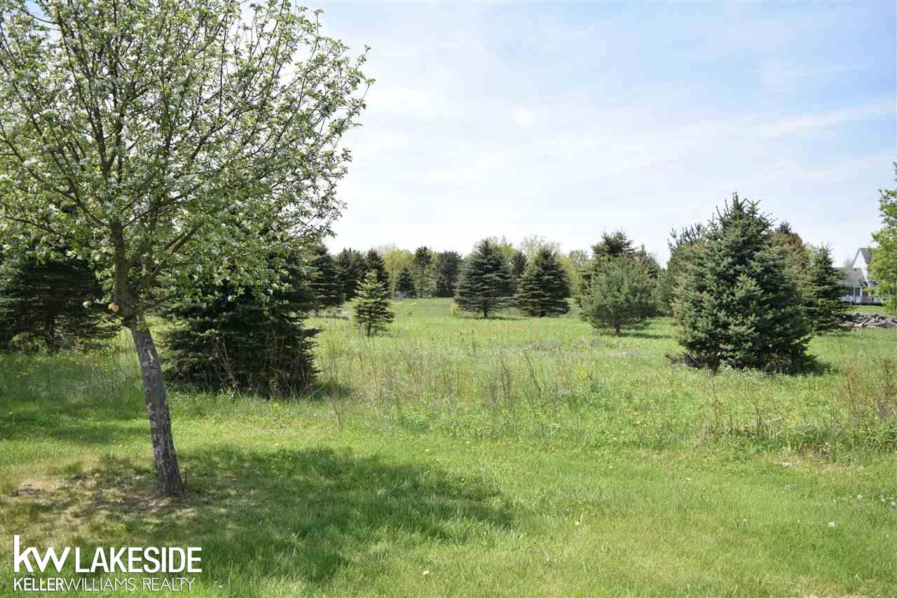 0 Gould Road Romeo, MI 48065 - Photo 2 of 9 31347948-1.JPG