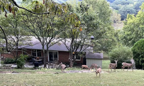 $960,000 | 815 Rodney Drive, Nashville, TN 37205
