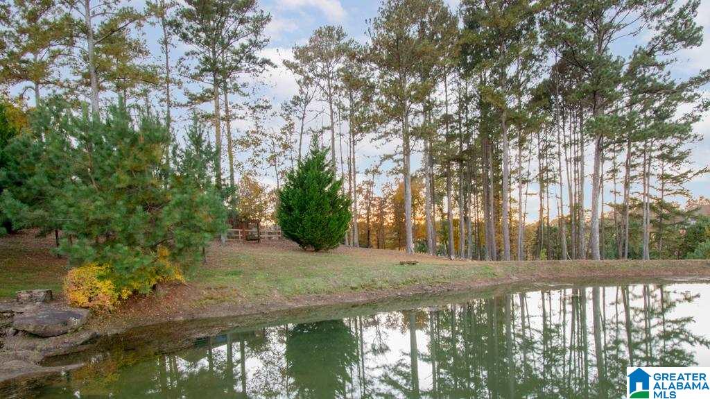 195 Mountain View Church Road Altoona, AL 35952 - Photo 45 of 49