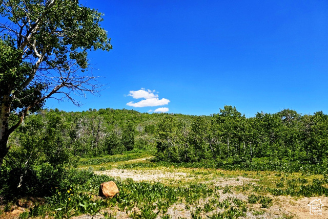 Middle Fork Huntsville, UT 84317 - Photo 6 of 26 View of woods