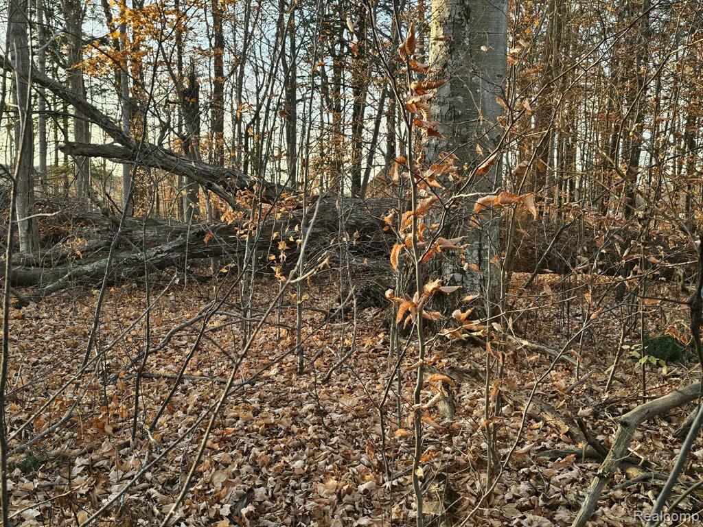 0 North Lakeshore Road Port Sanilac, MI 48469 - Photo 7 of 9