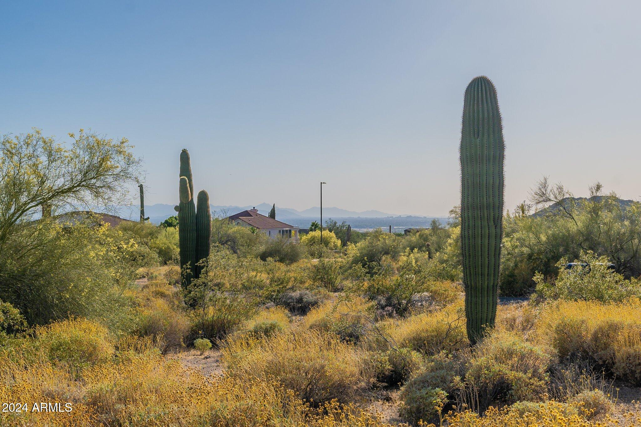 0 North Hawes Road Mesa, AZ 85207 - Photo 13 of 13 13-web-or-mls-Hawes-Community HD-6
