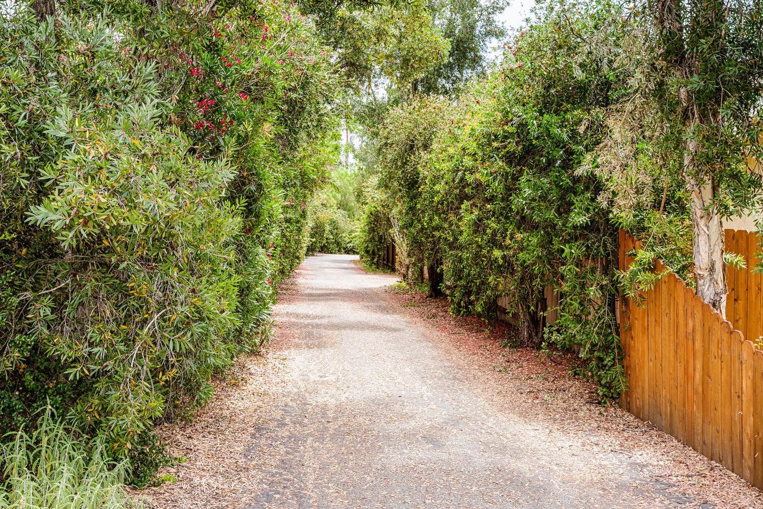 902 Daly Road Ojai, CA 93023 - Photo 2 of 13 a view of a pathway both side of yard
