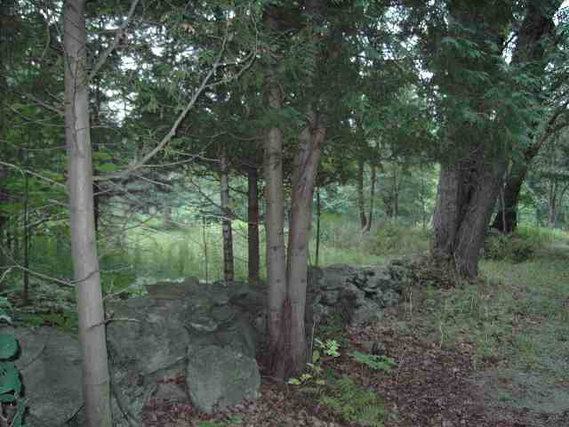 307 Rabbit College Road Petersburgh, NY 12138 - Photo 3 of 3 Photo 3