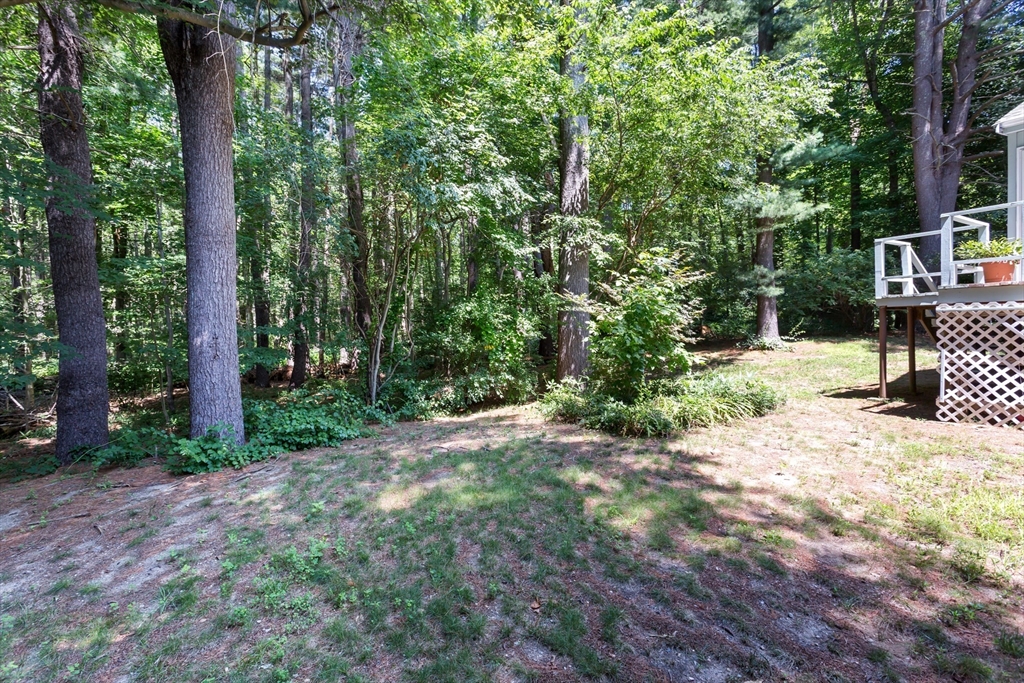 170 David Road Franklin, MA 02038 - Photo 40 of 42 Gallery Image 40