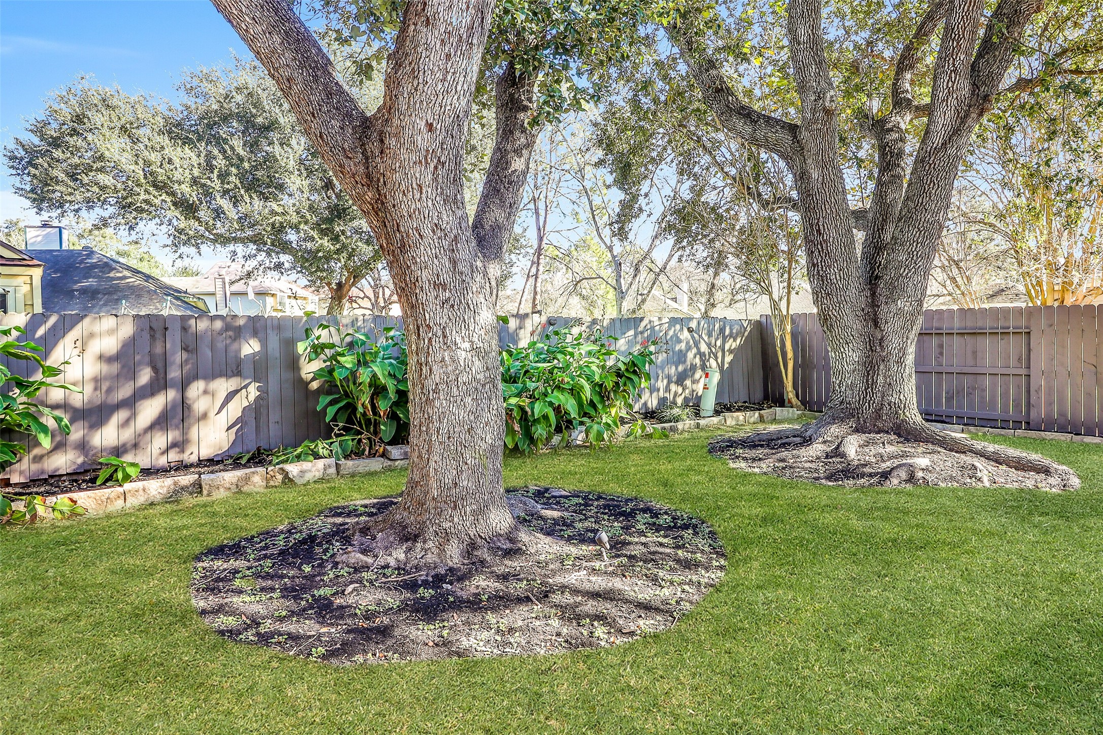 15922 Riverside Grove Drive Houston, TX 77083 - Photo 22 of 23 a view of a backyard with a tree